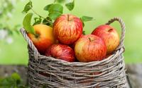 19 августа в Сарапуле состоится уникальная праздничная программа для семейного отдыха под названием «Яблочный денек».